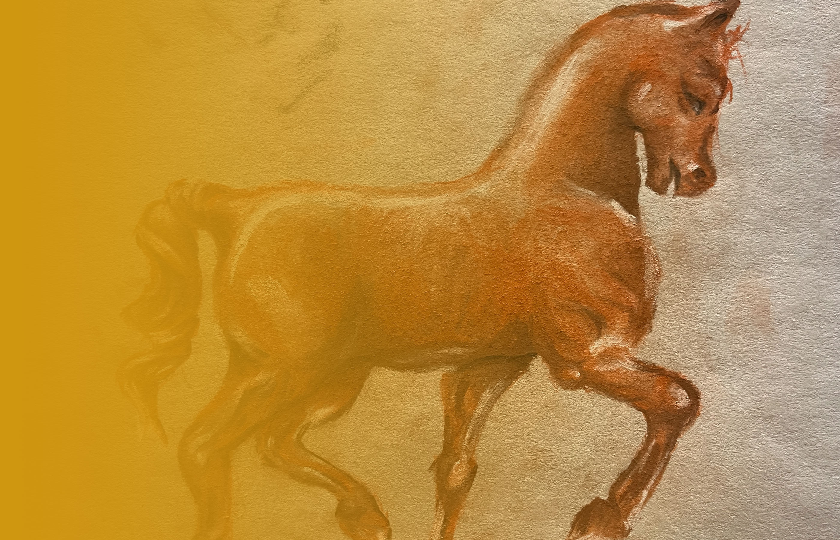 Da Vinci Horse  Image