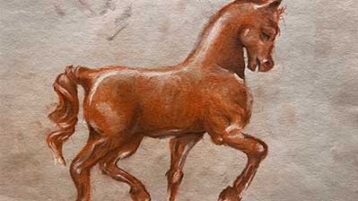DA VINCI HORSE Image